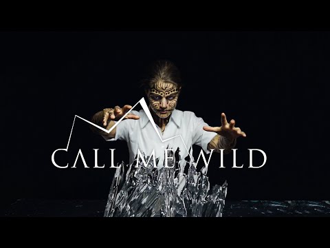 Martin Baltser - Call Me Wild (Official human stop motion Music Video)