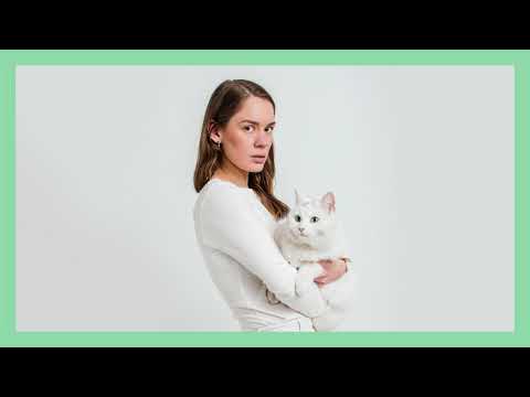 Anna Of The North - Money (Official Audio)
